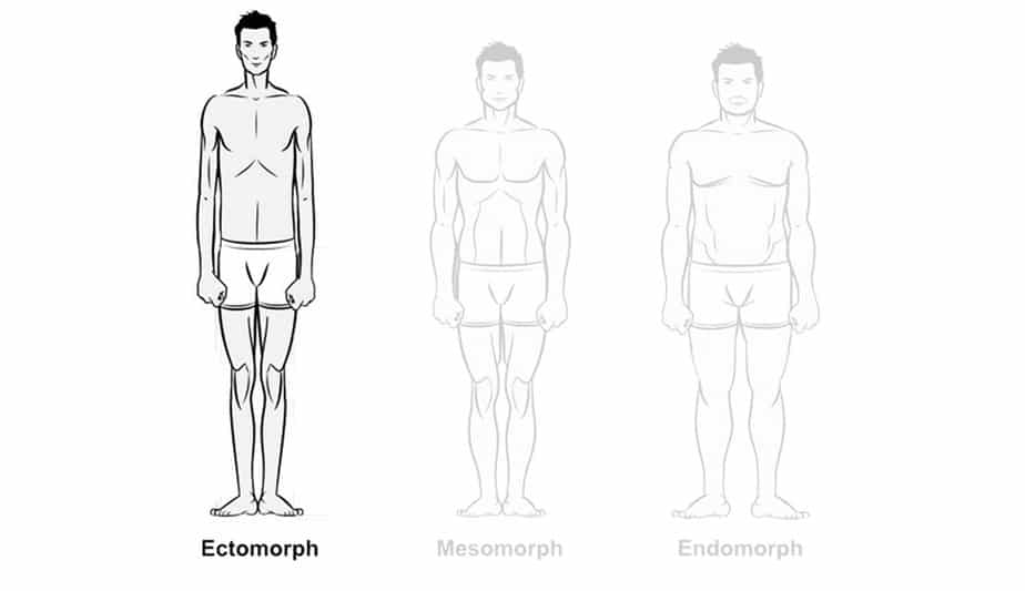 Several Instructions For Training By Body Type Corpus Aesthetics